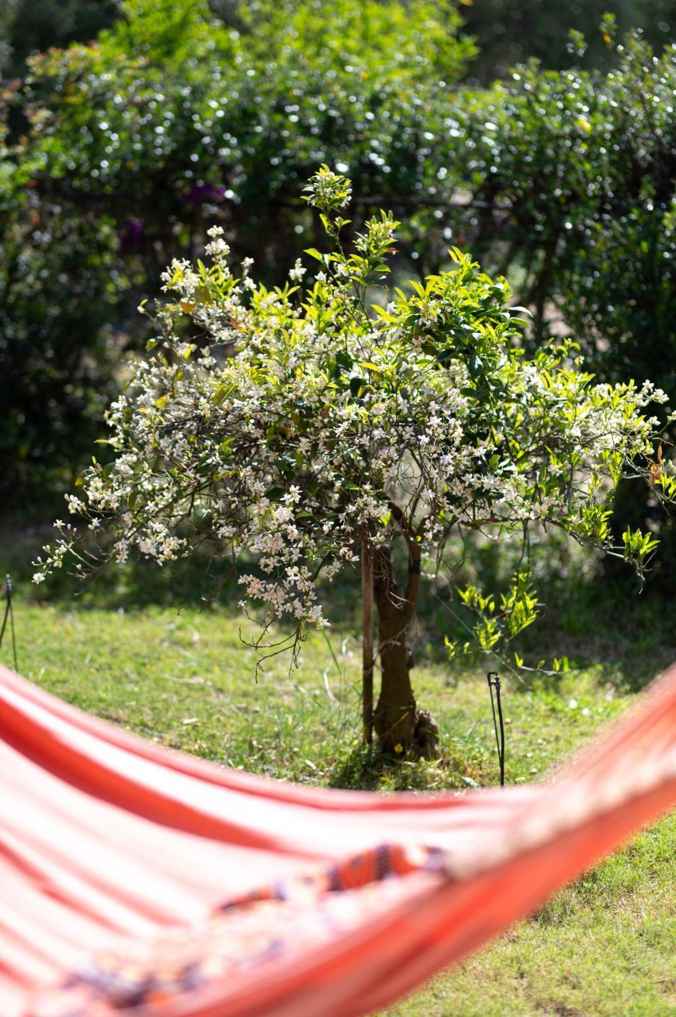 Resonance Experience - Tranquil Room Close To Beaches And Sacred Sites Sant' Isidoro エクステリア 写真