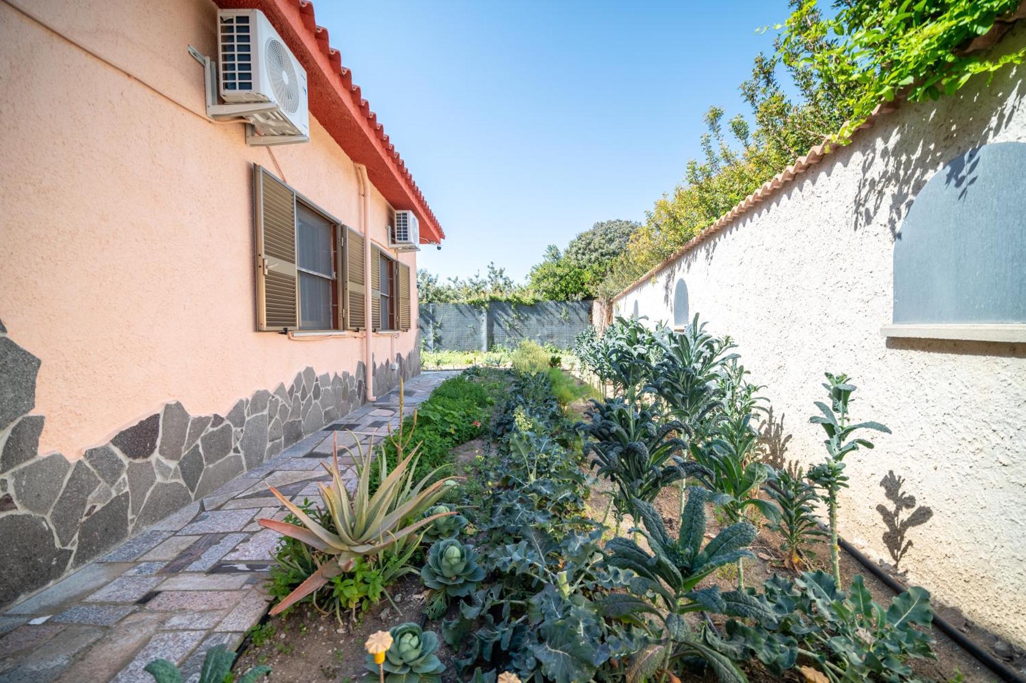 Resonance Experience - Tranquil Room Close To Beaches And Sacred Sites Sant' Isidoro エクステリア 写真